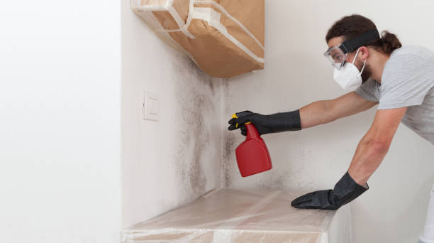 Professional Bathroom Mold Removal technician working in Cypress, TX