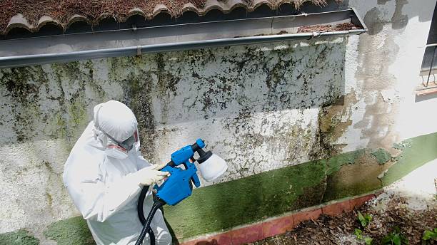Top rated local Bathroom Mold Removal specialists in Cypress, TX